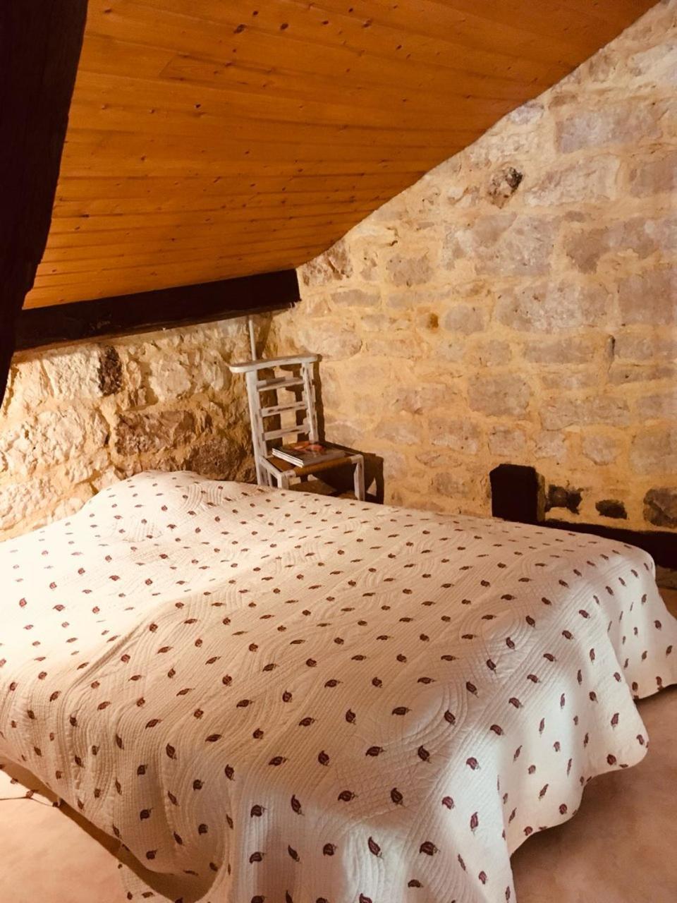 Maison de vacances Le Mas des papillons Fargues  Exterior foto