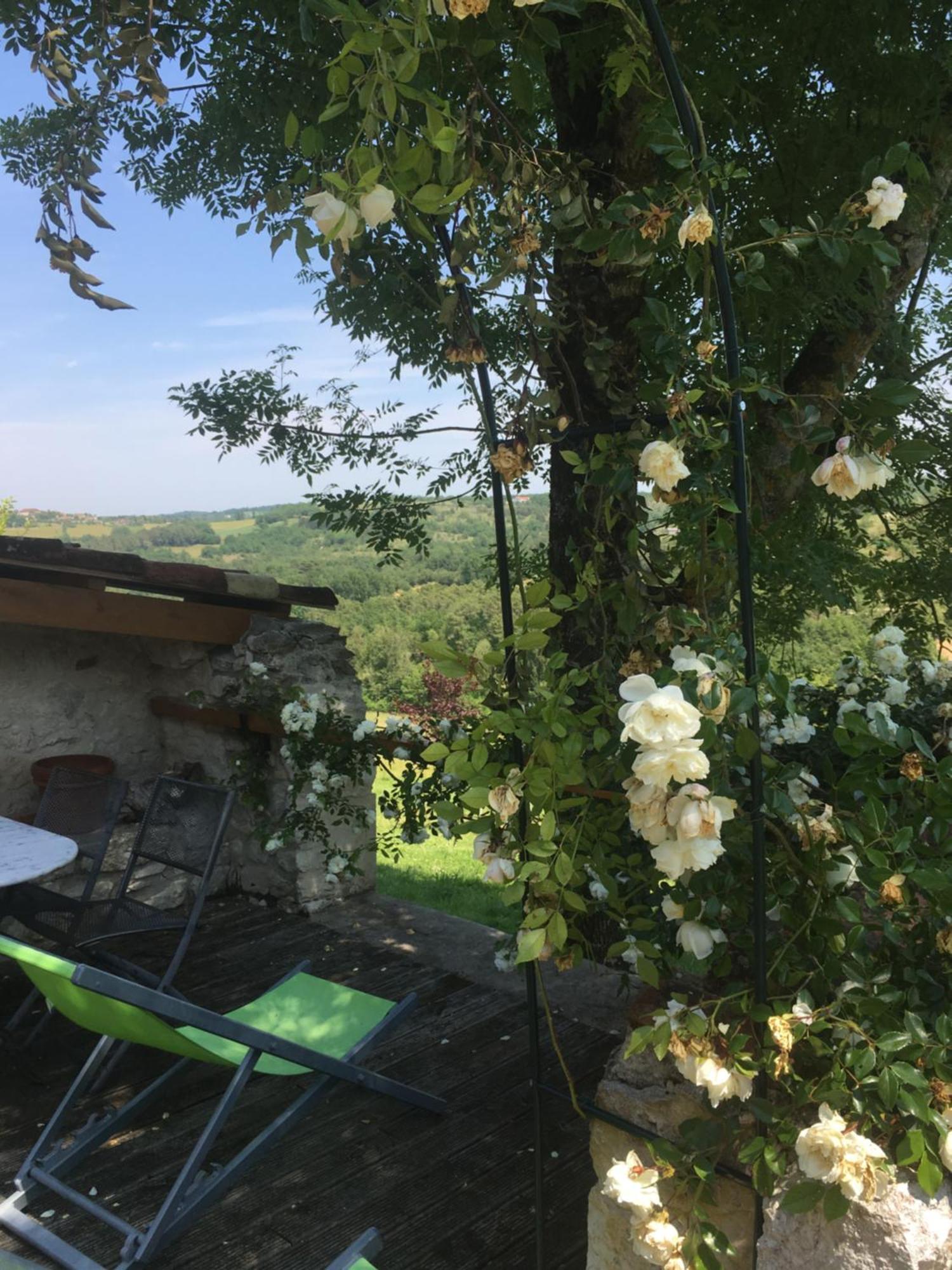 Maison de vacances Le Mas des papillons Fargues  Exterior foto