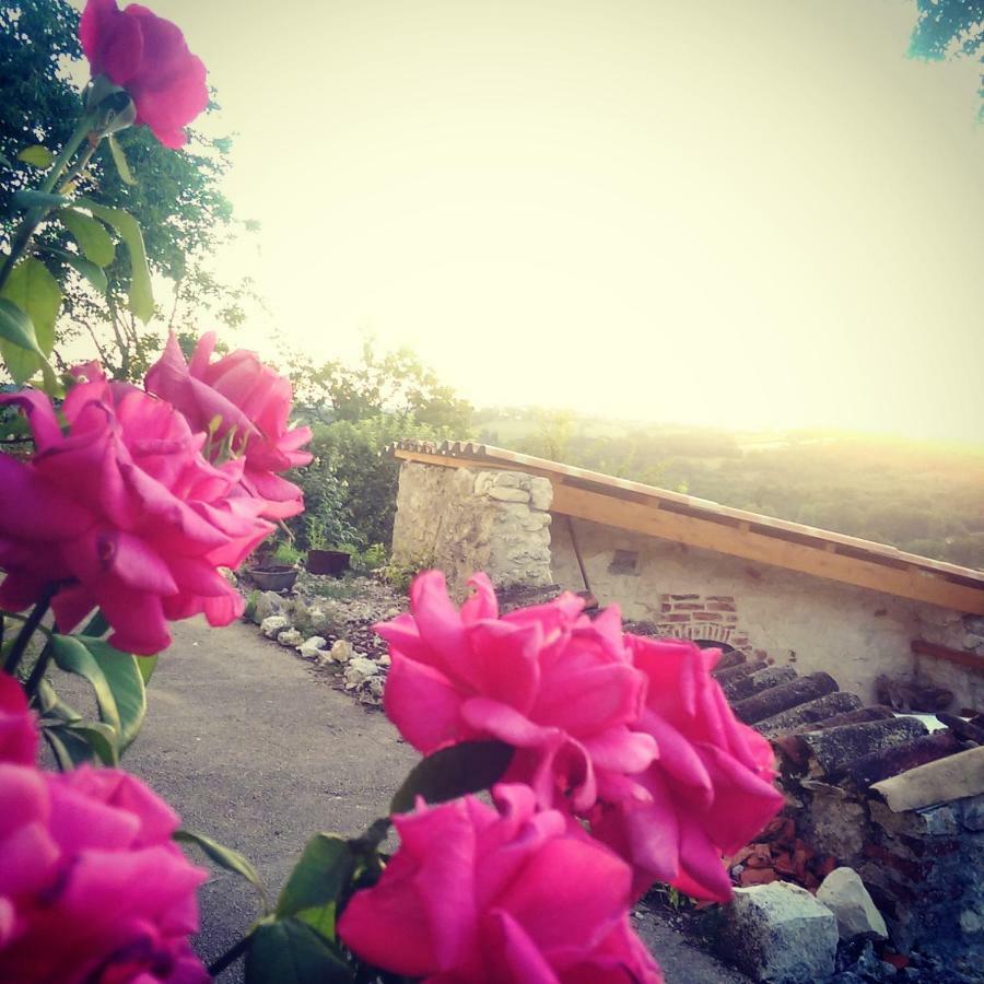 Maison de vacances Le Mas des papillons Fargues  Exterior foto