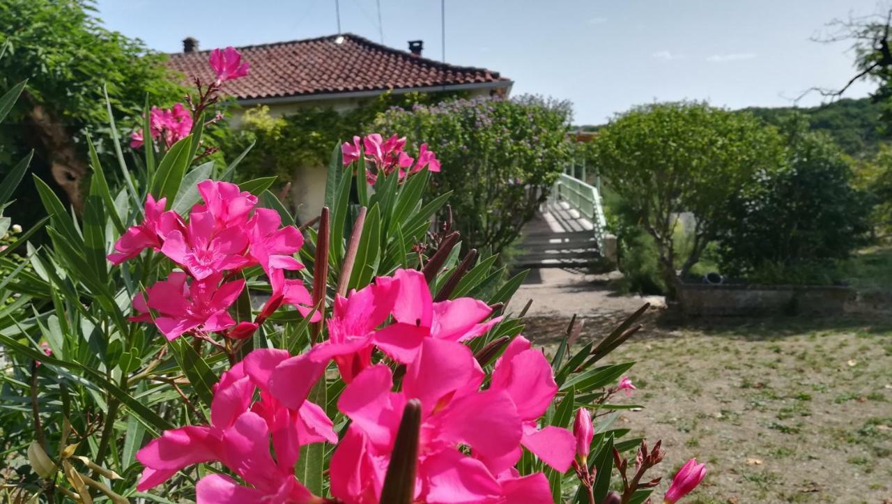 Maison de vacances Le Mas des papillons Fargues  Exterior foto